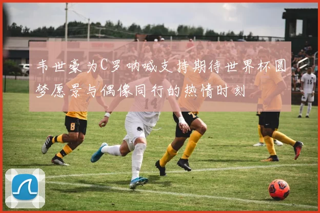 韦世豪为C罗呐喊支持期待世界杯圆梦愿景与偶像同行的热情时刻